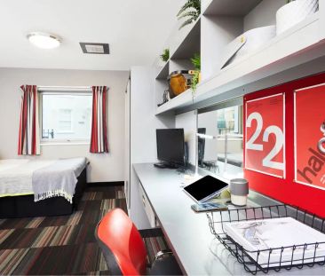 Deluxe King Plus Studio - Photo 2