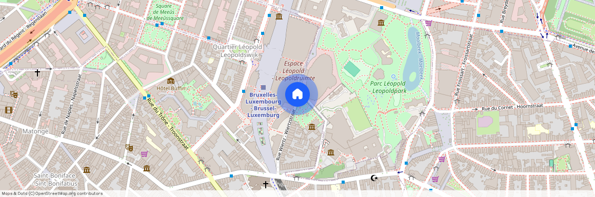 Rue Wiertz, 1050 IXELLES