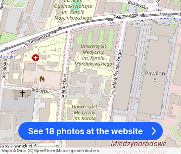 Blisko Palmiarni I Bezpośrednio I Ze zwierzętami I Niska kaucja - Photo 1