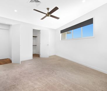 2208 Taromeo Court, Hope Island QLD 4212 - House For Rent | Domain - Photo 6