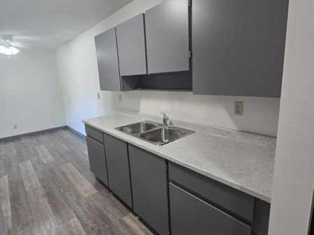 Spacious Two Bedroom unit on South Hill - Photo 5