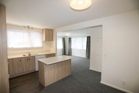 Convenient Location in Somerfield- 2 Bedroom modern unit - Photo 4