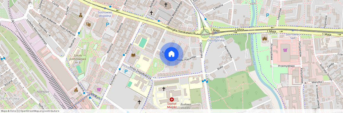 ul. rtm. Witolda Pileckiego, Centrum / Śródmieście, Sosnowiec, śląskie