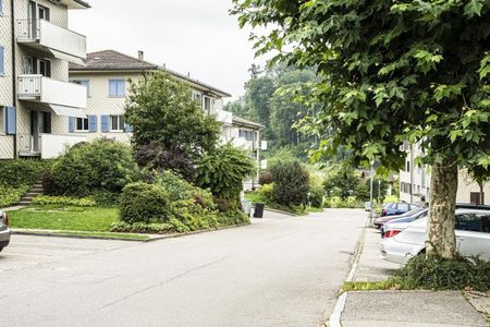 Quietly located 2.5 room apartment - Photo 3