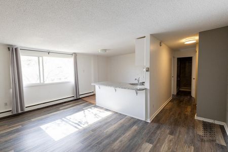 Mount Royal on 14th Apartments - Photo 5