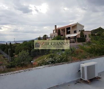 Μονοκατοικία για ενοικίαση Λαγονήσι (Καλύβια Θορικού) - Photo 3