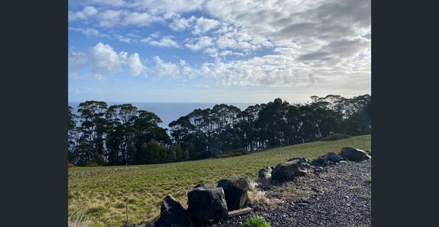 Oceanfront Masterpiece – Luxury Executive Living on 7 Acres - Photo 1