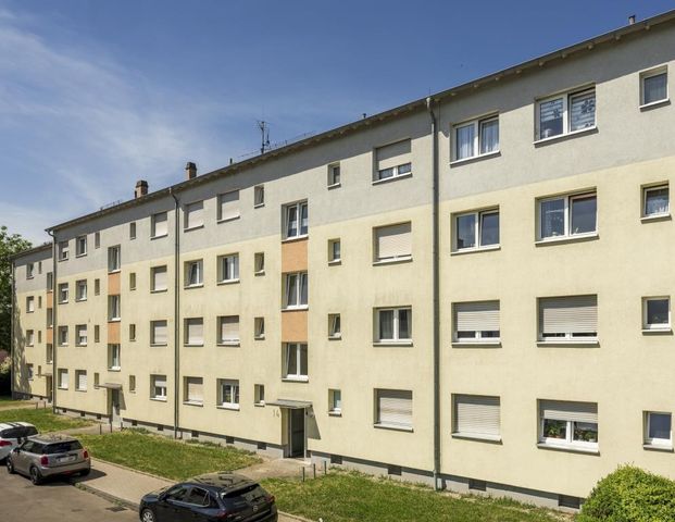 Demnächst frei! 2-Zimmer-Wohnung in Landau in der Pfalz - Foto 1