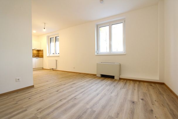Freytaggasse 25/13 - Photo 1