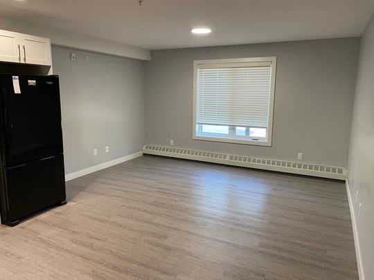 Amazing 1 bed Apartment located on the beach front in Sylvan Lake! - Photo 1