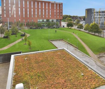 Studio to rent - Photo 3