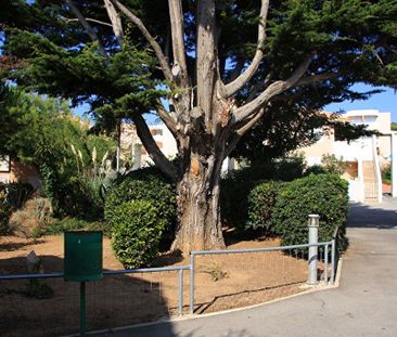 Location appartement 1 pièce, 25.60m², Sète - Photo 3