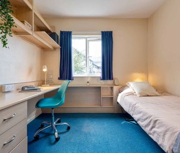 Bronze Ensuite - Photo 6