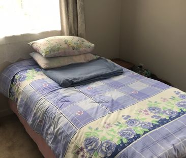 Cute Cottage - Photo 4