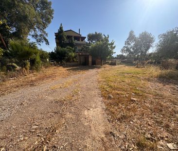 Μονοκατοικία για ενοικίαση Λευκαντί (Ληλάντιο) - Photo 3