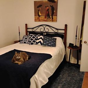 4 1/2 - Montréal (Montréal-Nord) - 1 520 $/mois - Photo 2