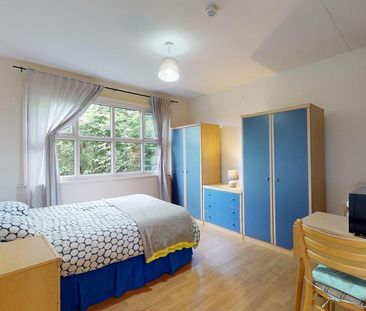 Flat share to rent - Photo 5