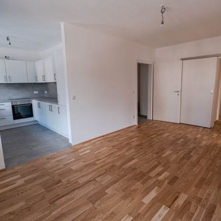 Raumwunder - Wg Willkommen! 16054F - Photo 3