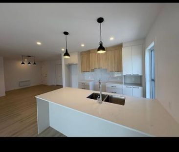 Grand 5 1/2 à louer- Saint-Dominique - Photo 4