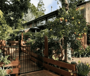 449 Dairy Flat Highway, Albany Heights - Photo 3