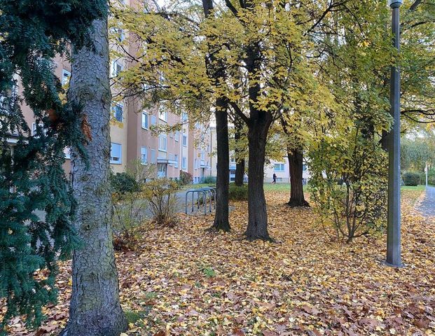 Nürnberg 90480. 1 Zimmer Wohnung 31m. Ab sofort.Oder 2/2026. - Foto 1