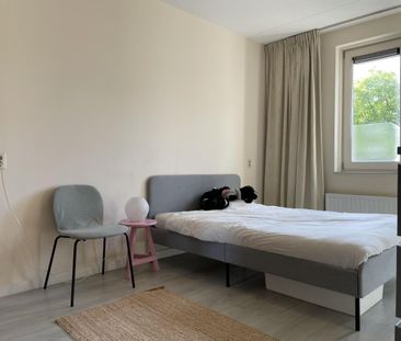 Snip, 2171KT, Sassenheim - Photo 6