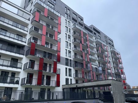 Mieszkanie dwupokojowe w Szczecinie na wynajem. - Zdjęcie 2