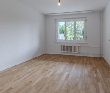Renovierte 3-Zimmerwohnung mit Terrasse zu vermieten - Foto 5