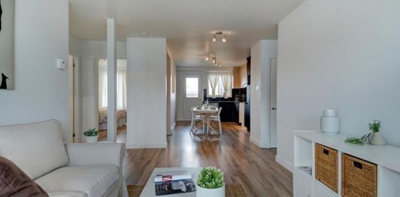 Appartement 4 ½ à louer Limoilou juillet 2026 - Photo 2