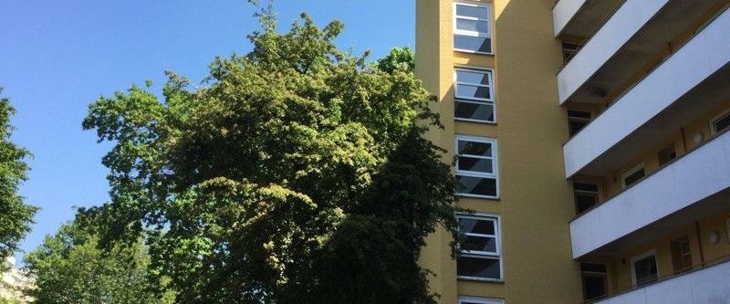 Renovierte 2-Zimmer-Wohnung mit Loggia kurzfristig verfügbar - Foto 1