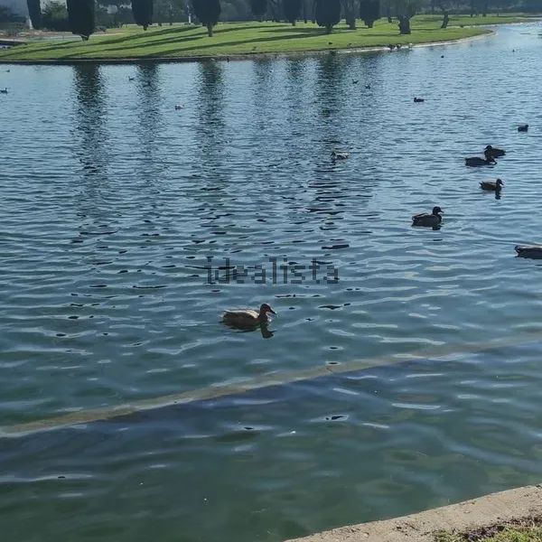 Alquiler de piso en Calle Turina, 4 - Foto 1