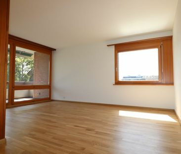 Schöne 2 1/2 Zimmer-Wohnung in Birsfelden befristet zu vermieten - Photo 3