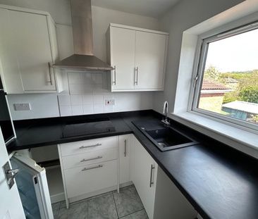 Briar Court, Dudley, DY2 - Photo 4