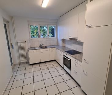 2 Zimmer, 55 m², 1. Stock - Photo 1