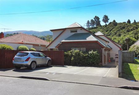 Room 1/8A Woodhaugh Street, Woodhaugh, Dunedin City - Photo 4