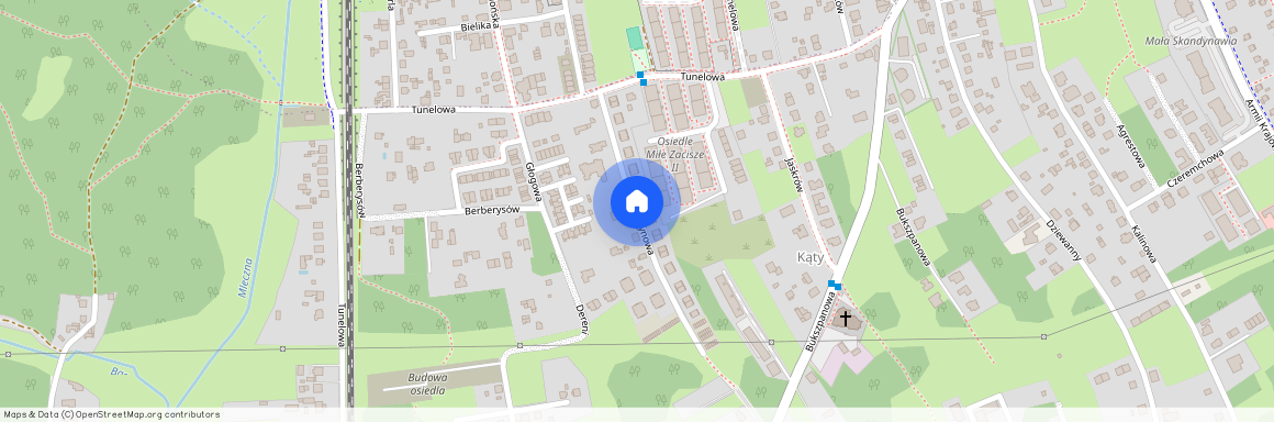 ul. Leszczynowa, Kostuchna, Katowice, śląskie