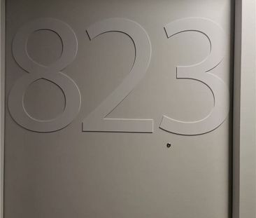River City I Lofts 51 , #823 - Photo 3
