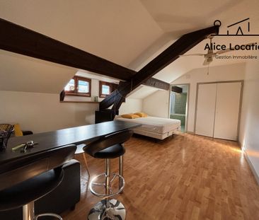 Location Appartement 2 pièces 30m² EVIAN LES BAINS 74500 - Photo 5