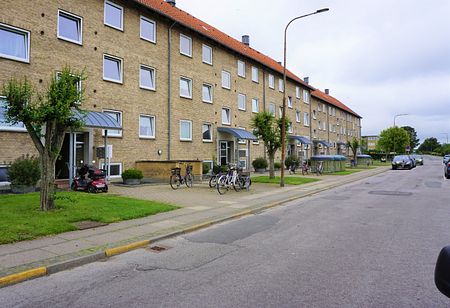 Nørremarksvej, 6270, Tønder - Photo 4