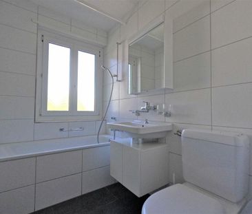 #verliebtinschaffhausen - wundervolle Wohnung mit neuer Küche, neue... - Photo 6