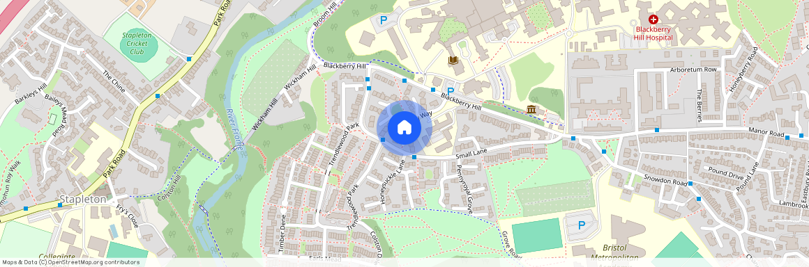 Blackberry Avenue, Bristol