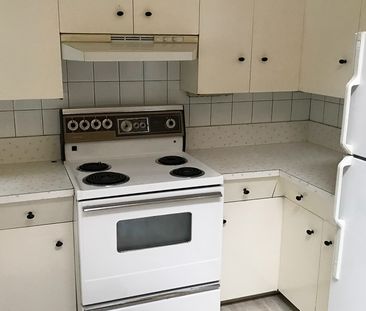 3 Bed Main Floor | Port Coquitlam | Water Included - Photo 5