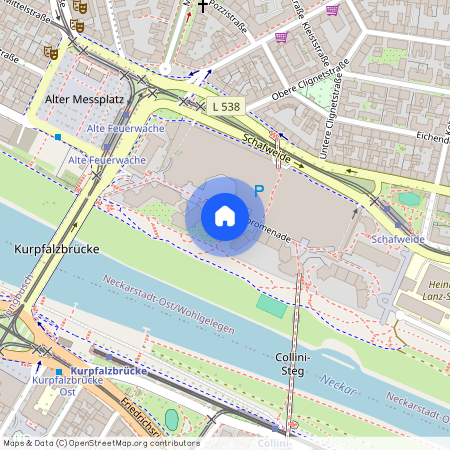 Neckarpromenade 16, 68167 Mannheim