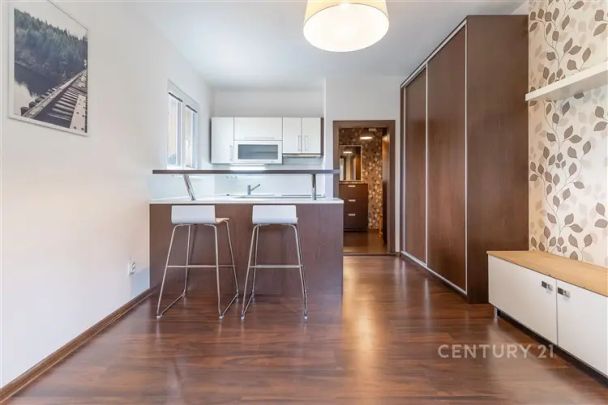 Pronájem zrekonstruovaného bytu 1+kk, 22 m - Fotografie 1