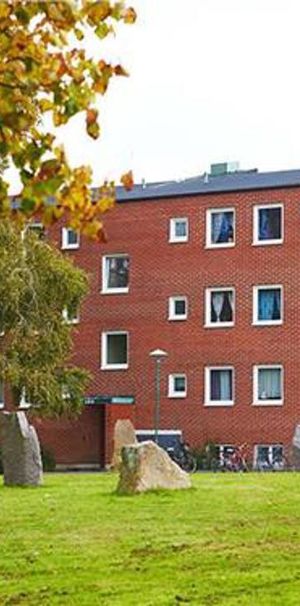 Nydalavägen 9 A, Almhög - Foto 1