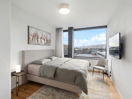 Baden - Modern apartment in the Akara tower - Photo 3