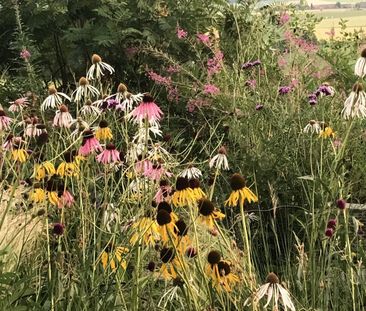 2-ROOM APARTMENT IN INNERBERG (BE), FURNISHED, TEMPORARY - Photo 4