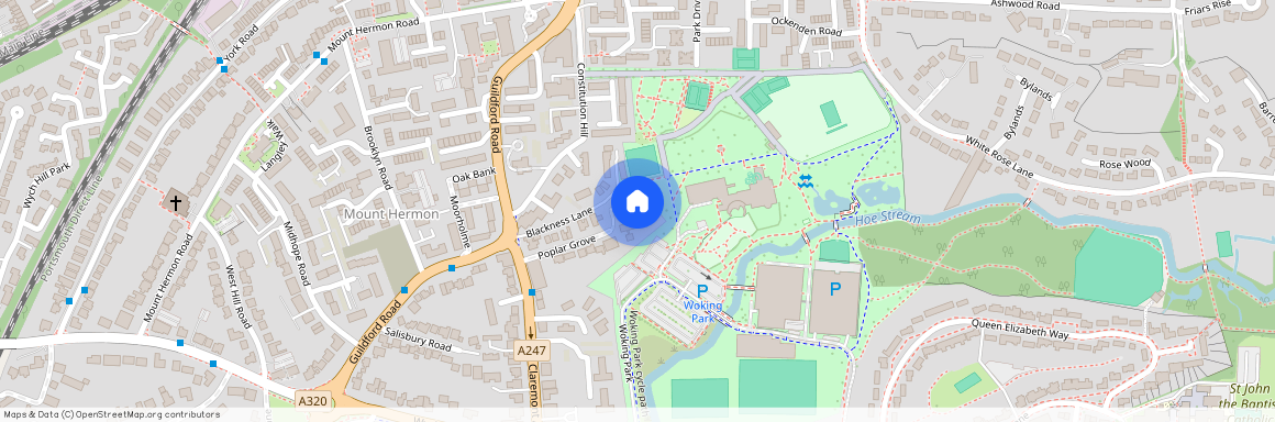 Effingham Court, Constitution Hill, GU22