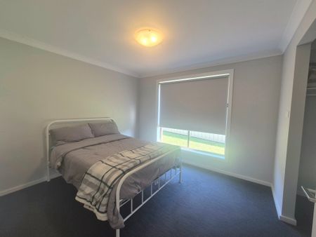 Beautiful Basil - Photo 5