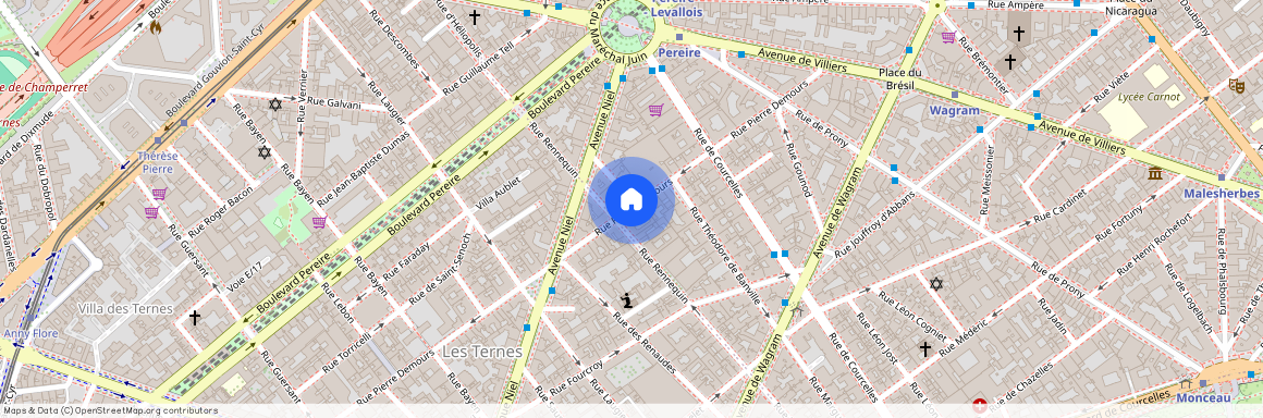 Rue Laugier, entre Avenue Niel et Rue Pierre Demours 75017 Paris (17e arrondissement)